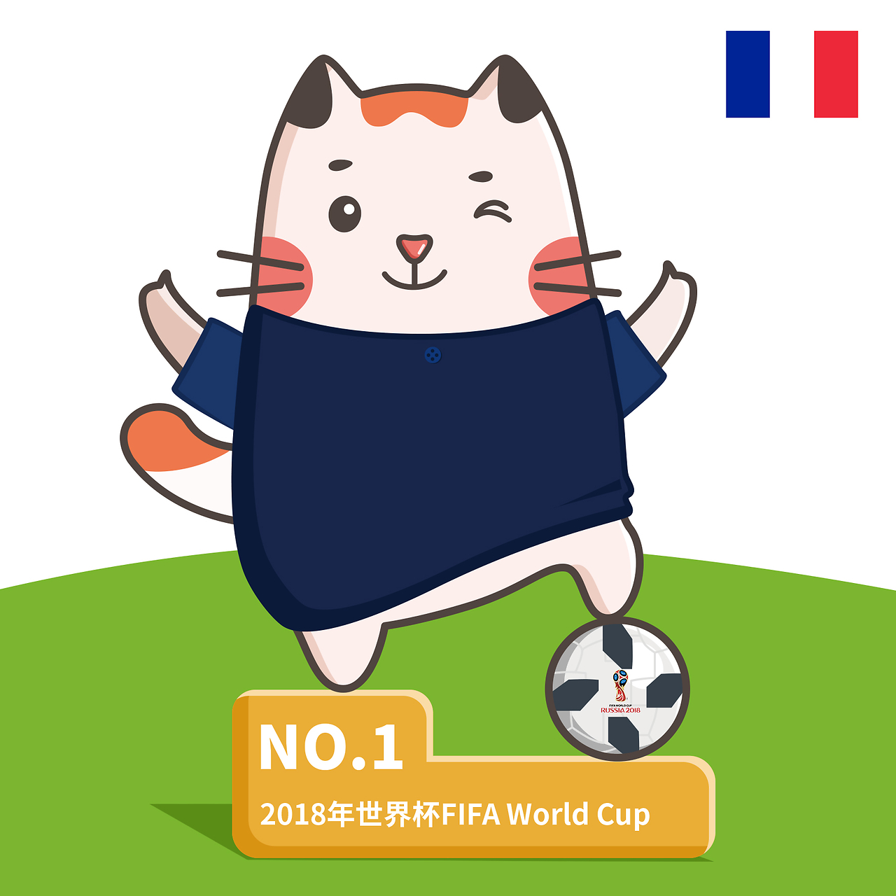 质疑反